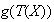 $g(T(X))$