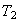 $T_{2}$